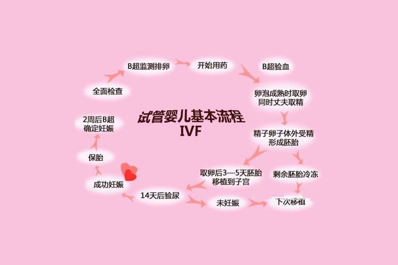 磨丁第一代试管婴儿(IVF)流程_成功率_费用_适用人群介绍