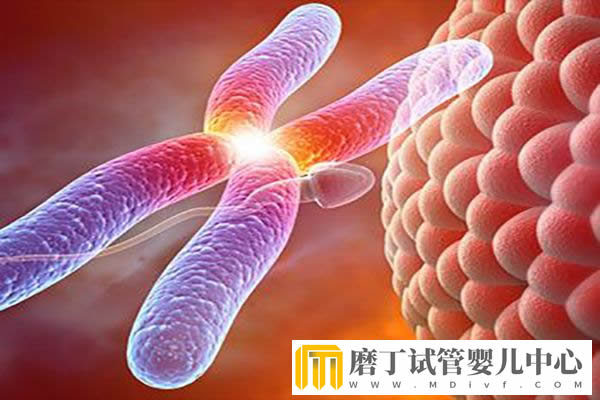 香港养和医院体外受孕中心试管婴儿技术(图2)