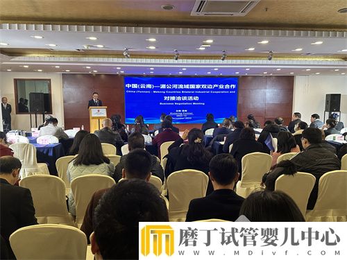 中国（云南）—湄公河流域国家双边产业合作对接洽谈活动举办(图1)