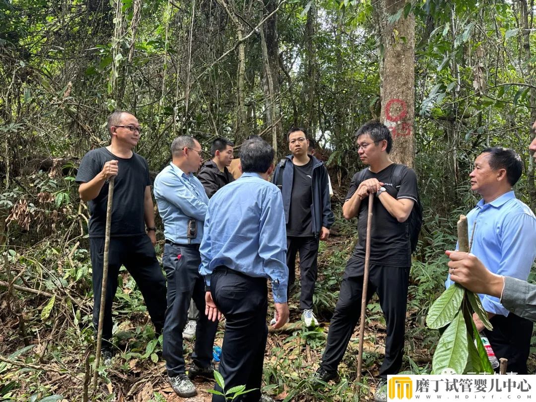 中老双方共同赴磨憨考察口岸并实地核线(图2)