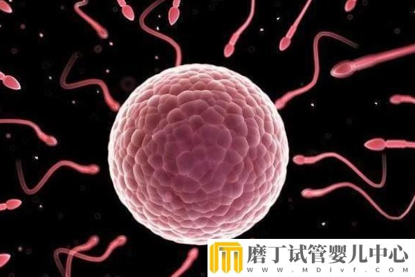 移植后睡觉腿抽筋正不正常、有啥影响剖析(图2)