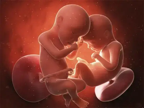 胚胎移植双胎hcg正常值是多少