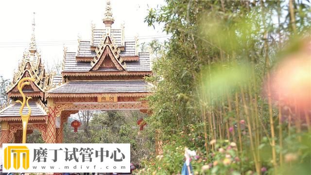 向上吧 少年磨憨|昆明托管磨憨大事记(图3) 向上吧 少年磨憨|昆明托管磨憨大事记(图3)