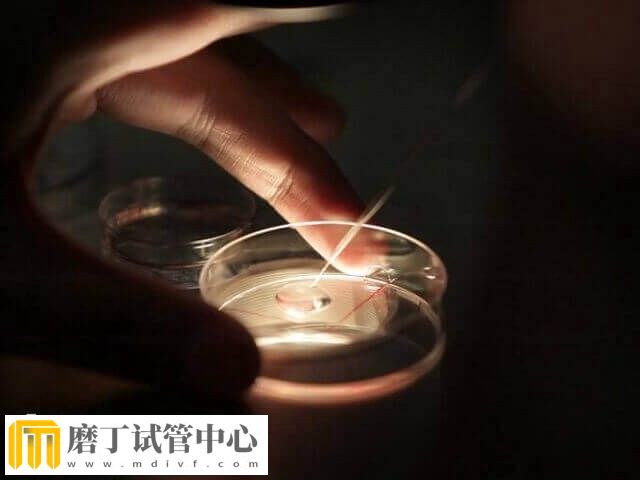 5个受精卵养囊成功2个怎么回事(图2)
