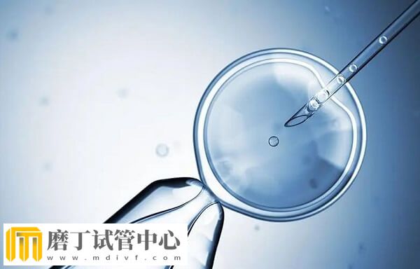 鲜胚6c2和7c2质量怎么样(图1)