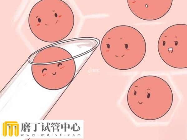 取卵手术的过程是什么(图2)