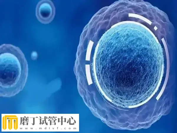 人工授精转试管婴儿还要补哪些检查(图1) 人工授精转试管婴儿还要补哪些检查(图1)