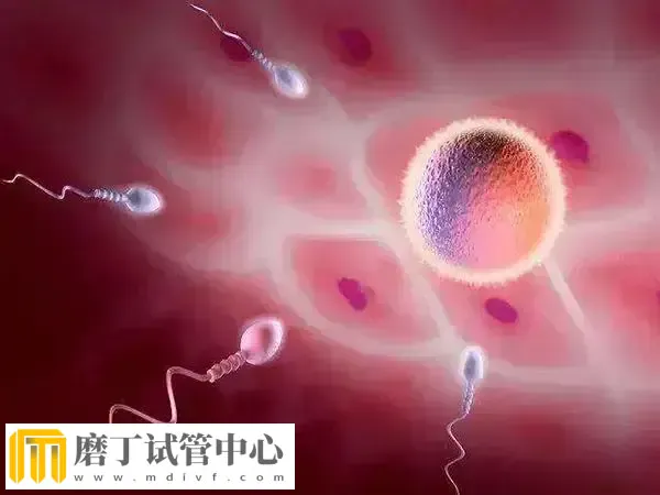 试管婴儿移植三次失败需要做什么检查(图1)