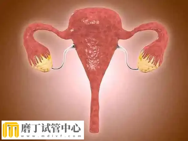 多囊卵巢做试管婴儿成功率多少(图1) 多囊卵巢做试管婴儿成功率多少(图1)